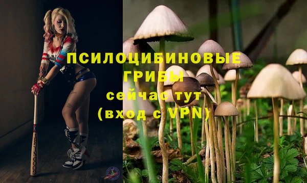 a pvp Балабаново