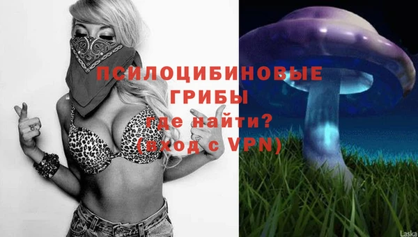 бошки Баксан