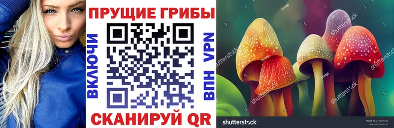 Галлюциногенные грибы мицелий  Стрежевой 